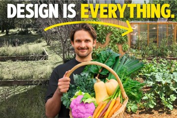 Design a Low Effort Food Garden that ACTUALLY Feeds You (Complete Guide) Design a Low Effort Food Garden that ACTUALLY Feeds You (Complete Guide)