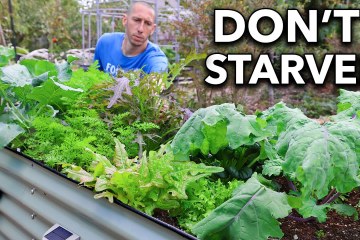 10 Cold-Hardy Crops You Can Grow Through the Winter (Grow at -30°F) 10 Cold-Hardy Crops You Can Grow Through the Winter (Grow at -30°F)