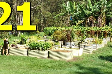 21 Herbs and Spices you should always Grow 21 Herbs and Spices you should always Grow