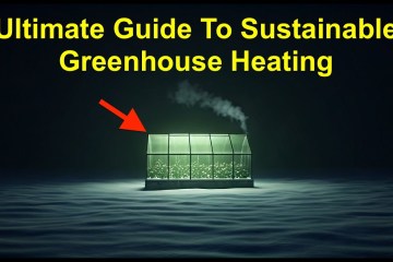 Cheapest DIY Greenhouse Heating – Sustainable Heating Methods DIY Winter Greenhouse 2025 Cheapest DIY Greenhouse Heating – Sustainable Heating Methods DIY Winter Greenhouse 2025