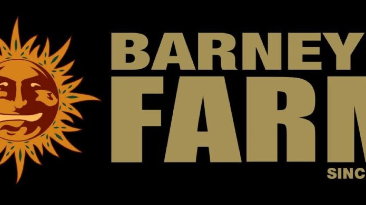 Barney’s Farm: The International Cannabis Innovators’ Opening in America Barney’s Farm: The International Cannabis Innovators’ Opening in America
