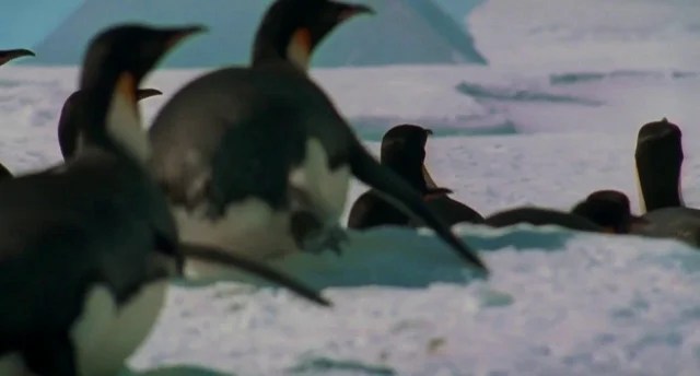 March of the Penguins March of the Penguins