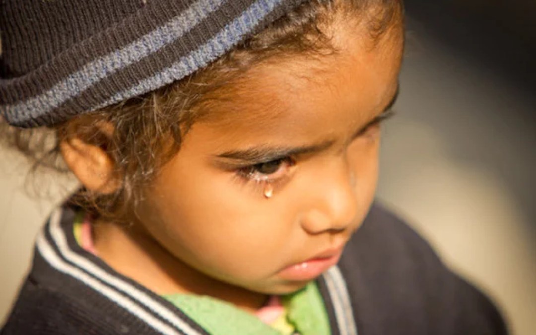 Glut: The Untold Story of Punjab