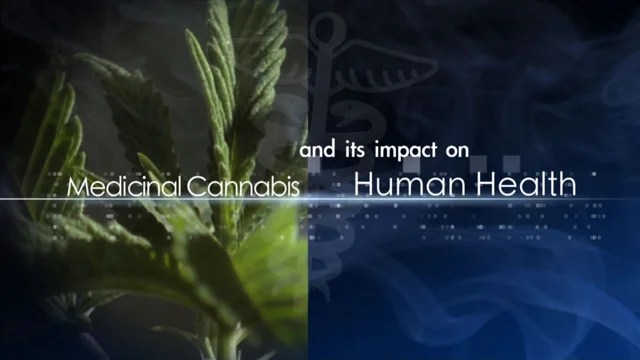 Medicinal Cannabis Medicinal Cannabis