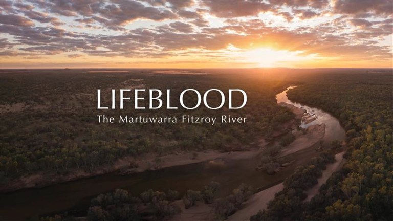 LIFEBLOOD: Free Trigg Screening of Martuwarra Fitzroy River Documentary Was Held in 2025 LIFEBLOOD: Free Trigg Screening of Martuwarra Fitzroy River Documentary Was Held in 2025