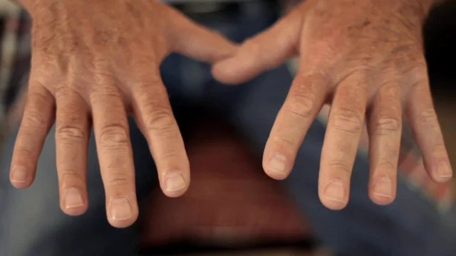 The Hands of Hollywood The Hands of Hollywood