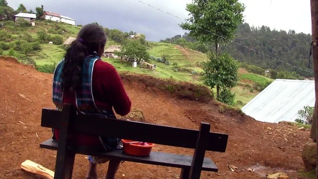 Campesino a Campesino Campesino a Campesino