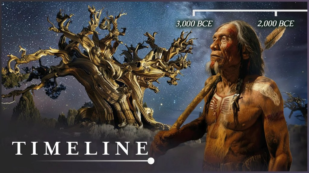 The Ancient Mystery Of The Methuselah Tree | The Oldest Tree On Earth The Ancient Mystery Of The Methuselah Tree | The Oldest Tree On Earth