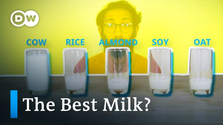 What’s the most climate-friendly milk? What’s the most climate-friendly milk?