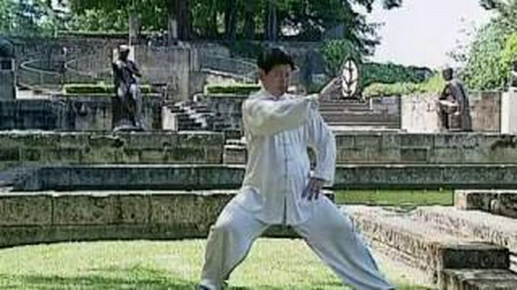 Tai Chi Lessons with Master Jian Liujun Tai Chi Lessons with Master Jian Liujun