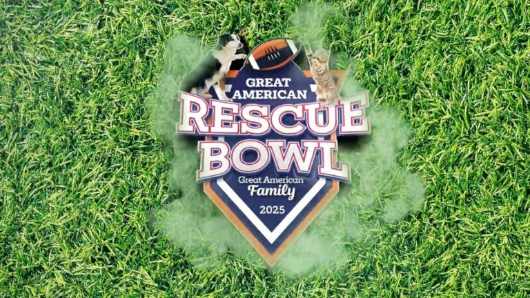 Great American Rescue Bowl 2025: Meet the Featured Puppies and Kitties, From Taily Swift to Cattis Kelce Great American Rescue Bowl 2025: Meet the Featured Puppies and Kitties, From Taily Swift to Cattis Kelce