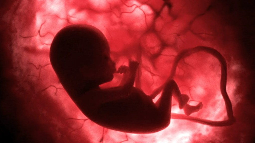 The 12 Best Documentaries About Birth The 12 Best Documentaries About Birth