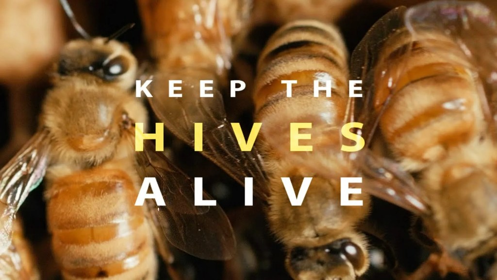 Keep the Hives Alive Keep the Hives Alive