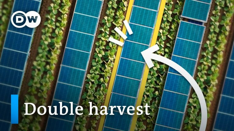 Why We Should Put Solar Panels on Fields and Lakes Why We Should Put Solar Panels on Fields and Lakes