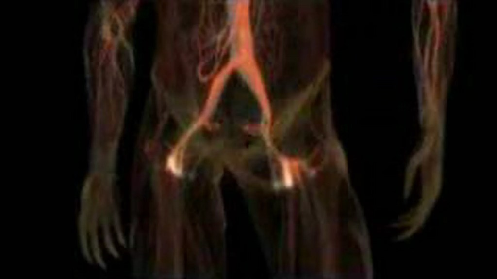 Human Body: Pushing The Limits Human Body: Pushing The Limits
