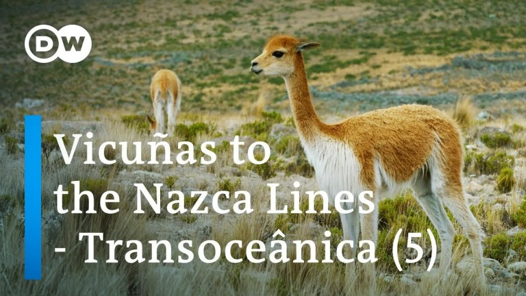 From Rio to Lima – Transoceânica, a 6,200-km bus journey (5/5) From Rio to Lima – Transoceânica, a 6,200-km bus journey (5/5)