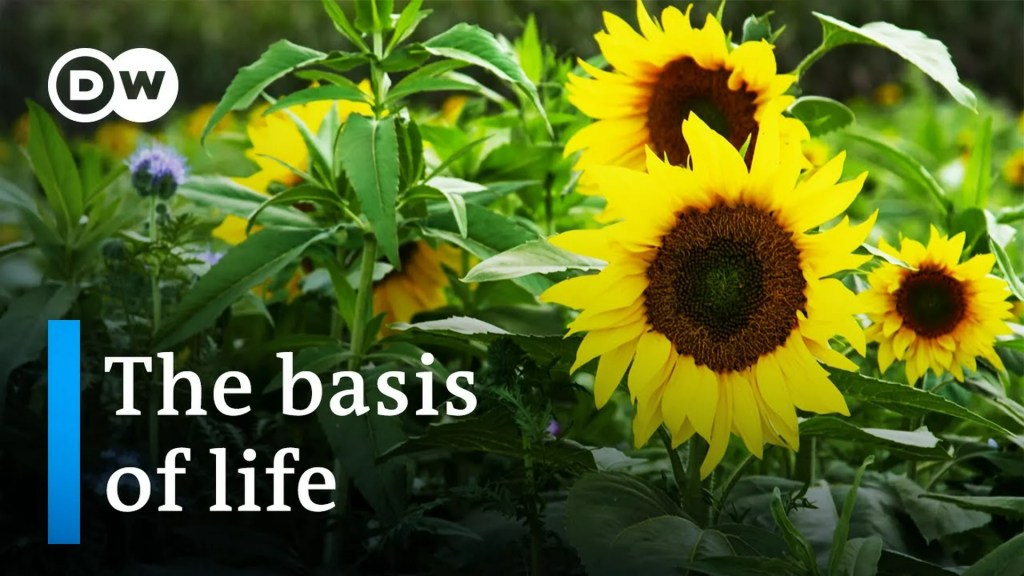 Working the land for our climate – Healthy soil, healthy world Working the land for our climate – Healthy soil, healthy world