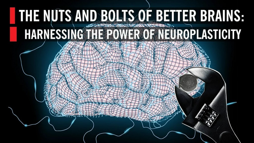 The Nuts and Bolts of Better Brains: Harnessing the Power of Neuroplasticity The Nuts and Bolts of Better Brains: Harnessing the Power of Neuroplasticity