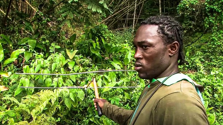 Why Jamaica Is a Paradise of Natural Beauty and Adventure? | Documentary Why Jamaica Is a Paradise of Natural Beauty and Adventure? | Documentary