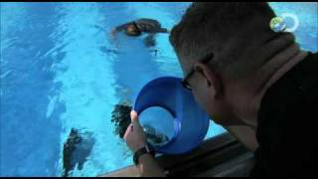 EP4/6 Surviving the Cut – Special Forces Diver EP4/6 Surviving the Cut – Special Forces Diver