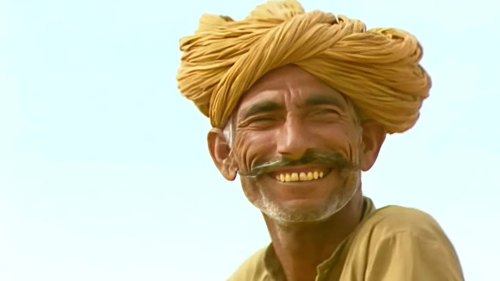 The 12 Best Documentaries About Camels The 12 Best Documentaries About Camels
