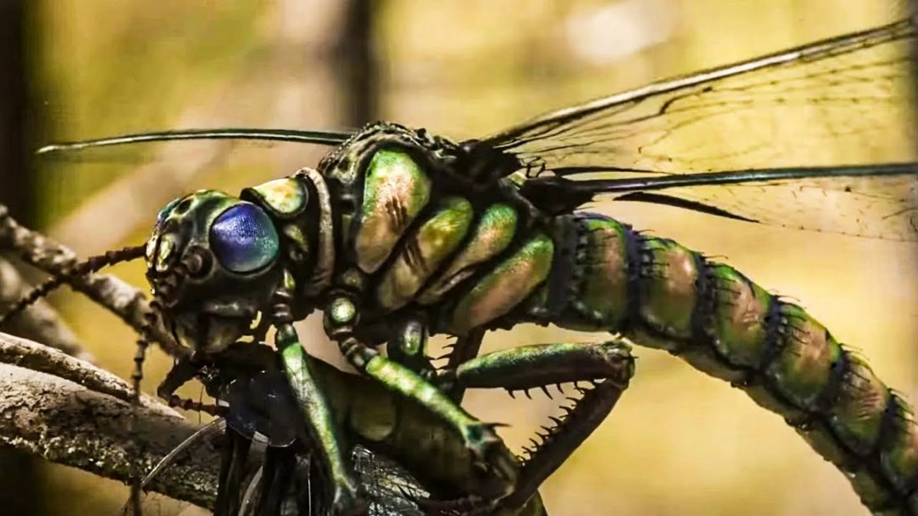 What Caused the Extinction of Giant Insects? | Full Documentary What Caused the Extinction of Giant Insects? | Full Documentary