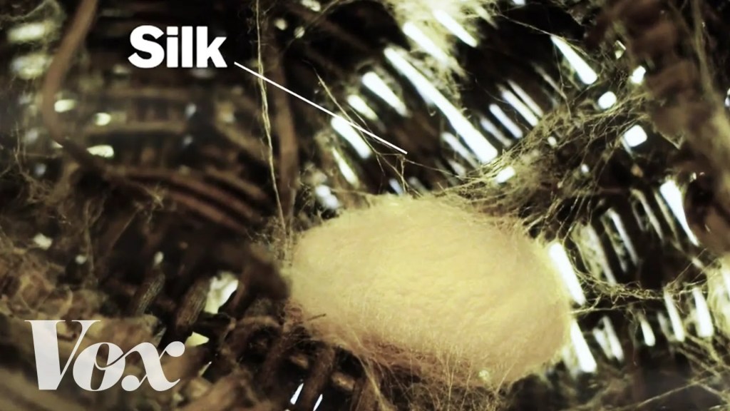 How Silk is made from Silkworms? How Silk is made from Silkworms?