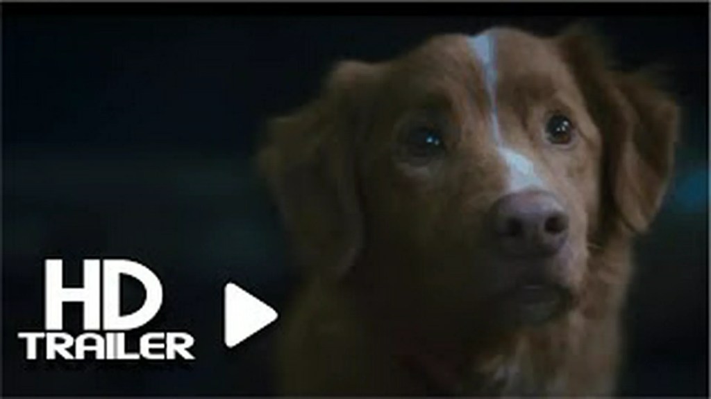 ‘Good Boy’ Trailer: Exclusive Dog-POV Horror Film Is Now Available ‘Good Boy’ Trailer: Exclusive Dog-POV Horror Film Is Now Available