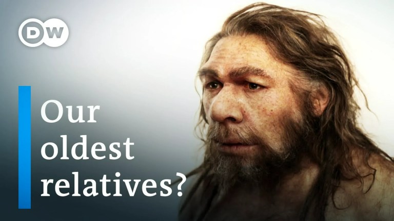 Who were the Neanderthals? | DW Documentary Who were the Neanderthals? | DW Documentary