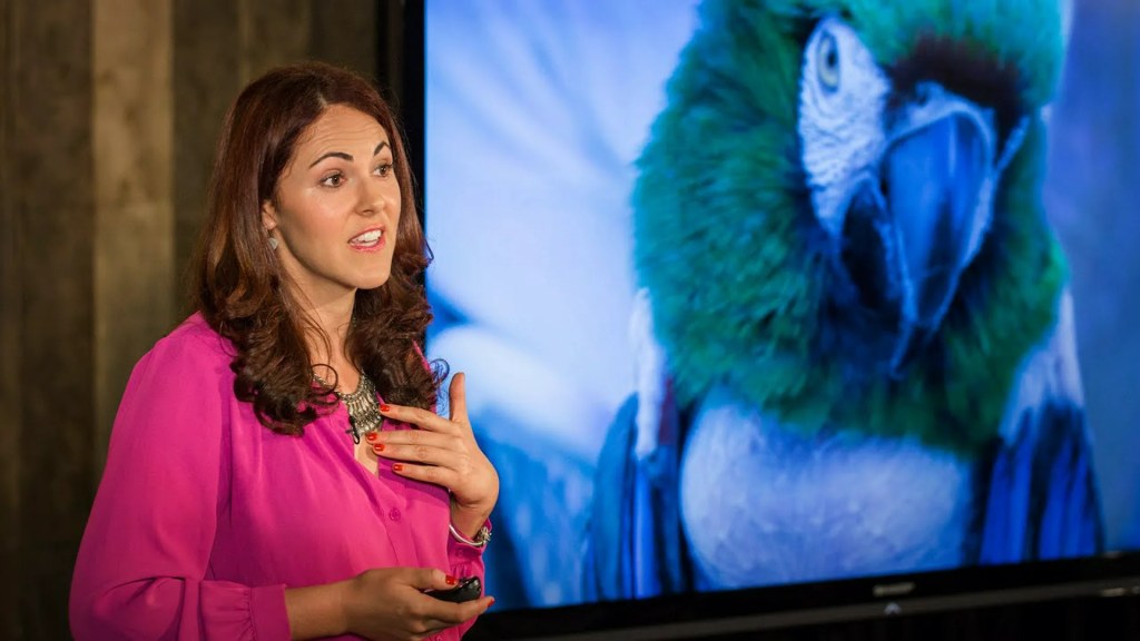 Laurel Braitman: Depressed dogs, cats with OCD Laurel Braitman: Depressed dogs, cats with OCD