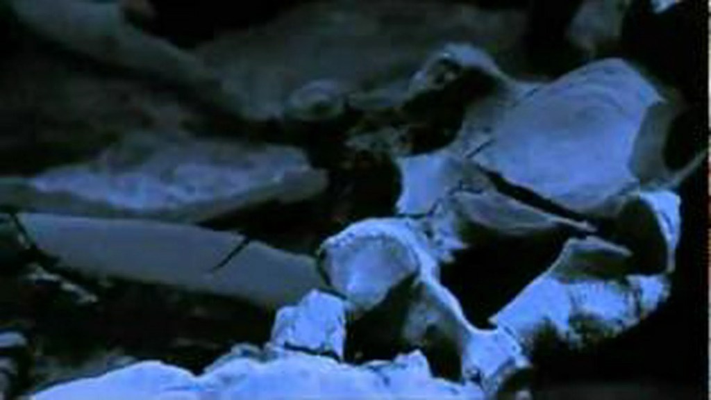 The Ape That Took Over The World The Ape That Took Over The World