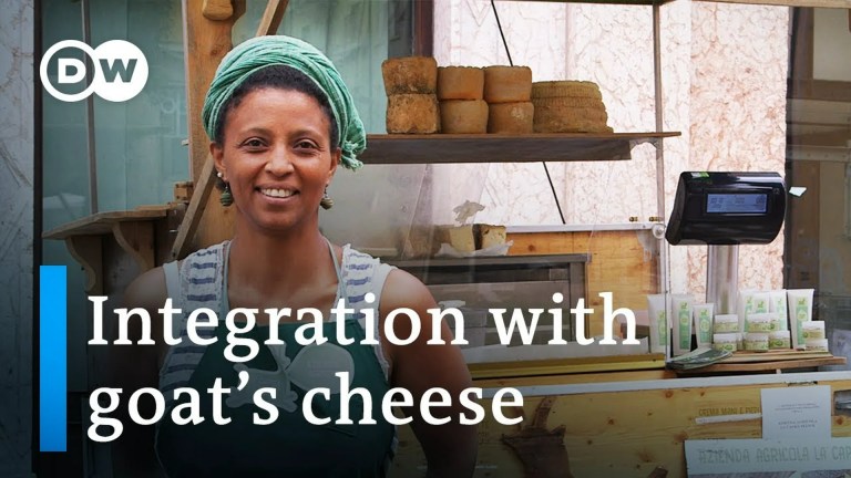 Making cheese in the Alps – a story of integration Making cheese in the Alps – a story of integration