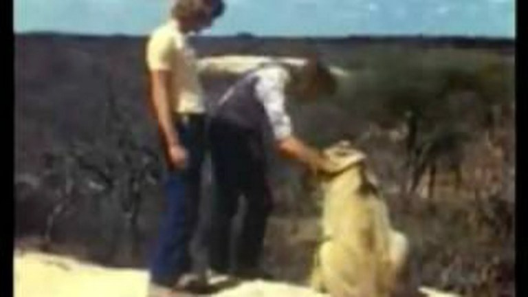 A Lion Called Christian A Lion Called Christian