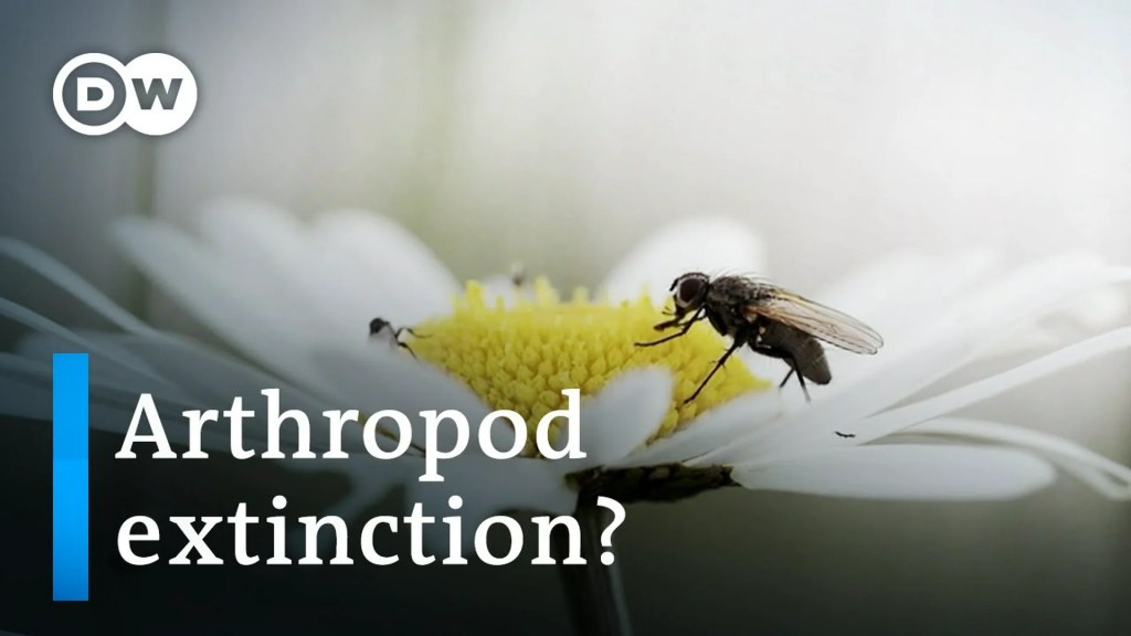 The great death of insects The great death of insects