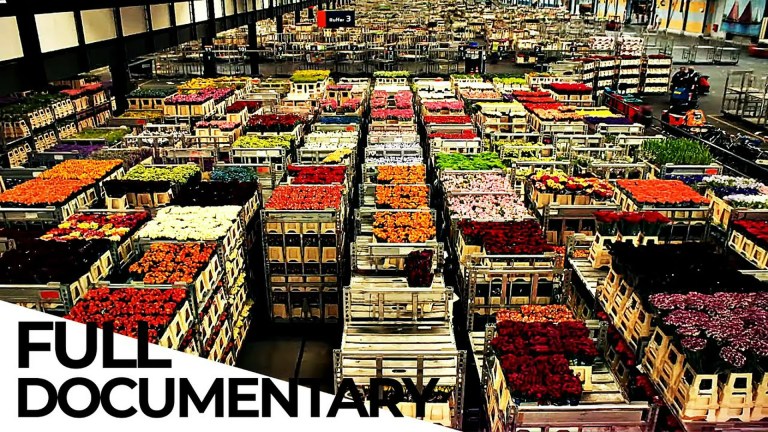 Billion Dollar Flower Market Billion Dollar Flower Market