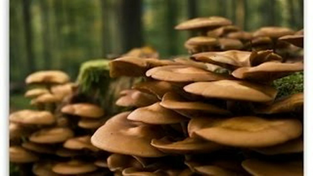 The 10 Best Documentaries About Plants The 10 Best Documentaries About Plants