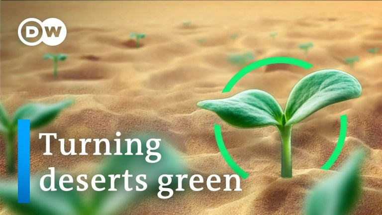 Can we stop the deserts from spreading? Can we stop the deserts from spreading?