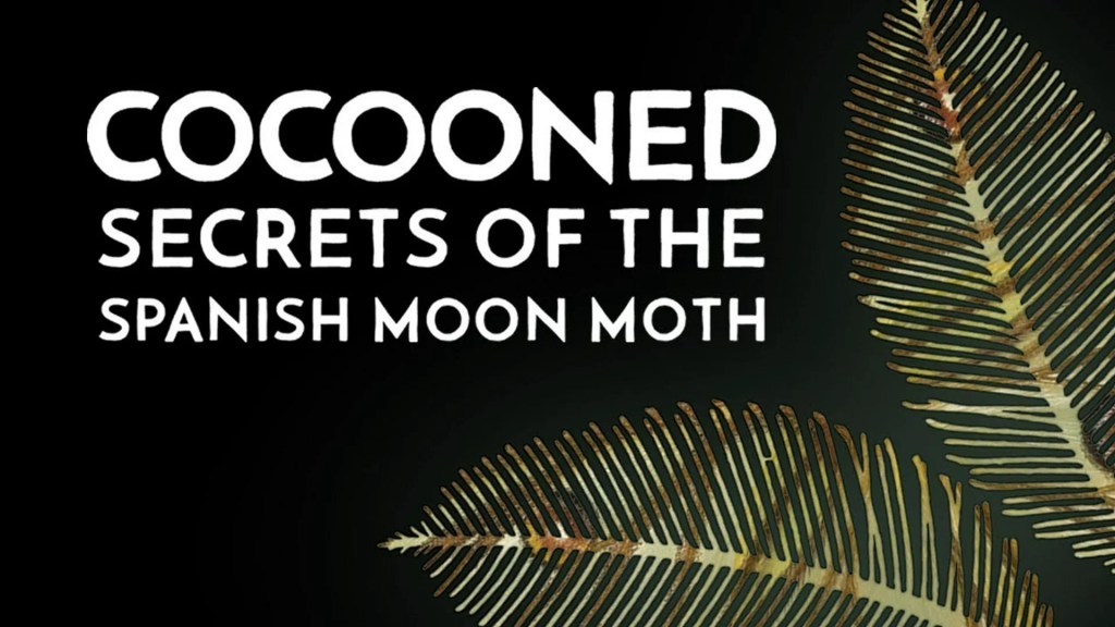 The 10 Best Documentaries About Moths The 10 Best Documentaries About Moths