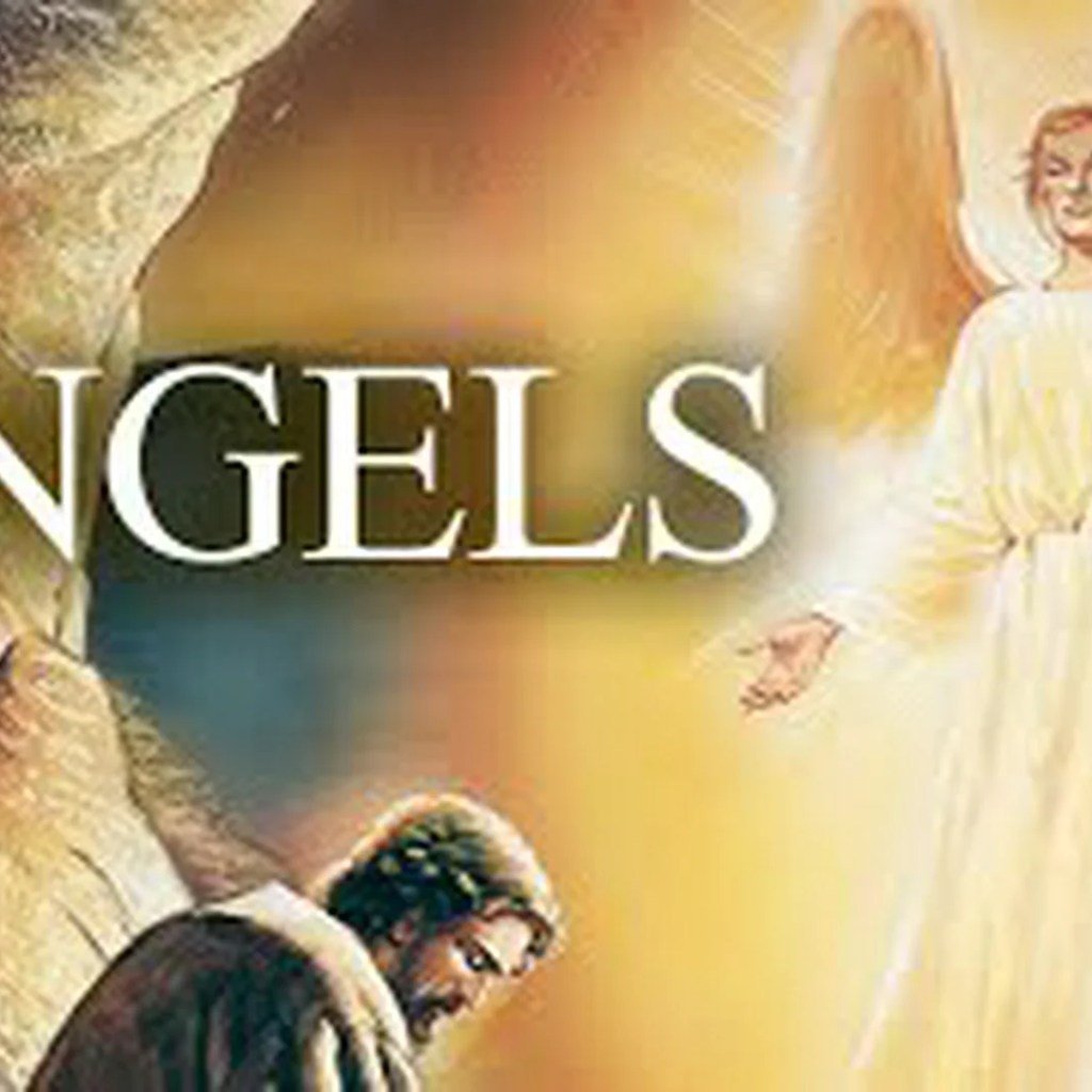 The History of Angels The History of Angels