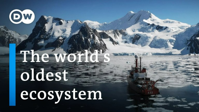 Antarctica: A message from another planet Antarctica: A message from another planet