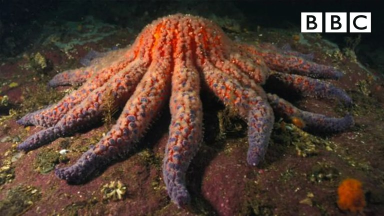Nature’s Weirdest Events Nature’s Weirdest Events
