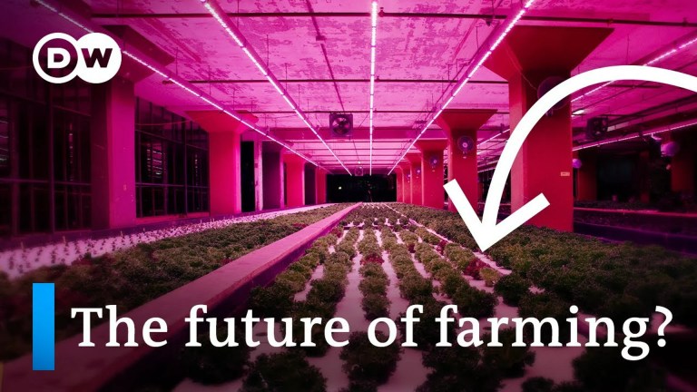 Aquaponics: Why we should be putting fish in our farms Aquaponics: Why we should be putting fish in our farms