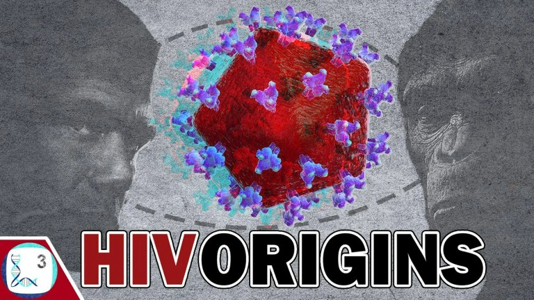 The Origins of AIDS The Origins of AIDS