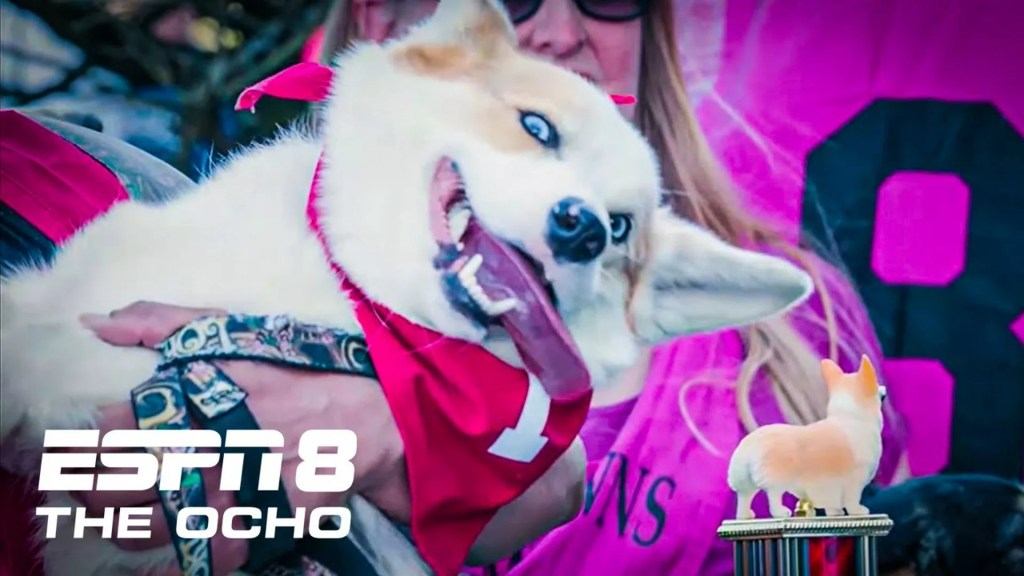 ESPN Airs Corgi Race Video—and It’s Just as Hilarious as You’d Expect ESPN Airs Corgi Race Video—and It’s Just as Hilarious as You’d Expect