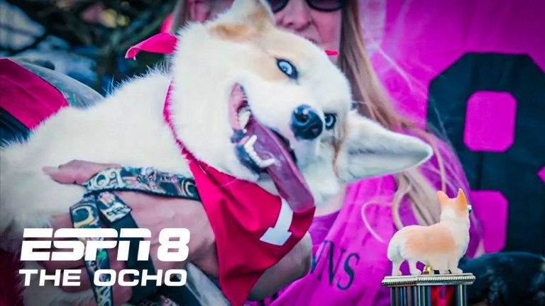 ESPN Airs Corgi Race Video—and It’s Just as Hilarious as You’d Expect ESPN Airs Corgi Race Video—and It’s Just as Hilarious as You’d Expect