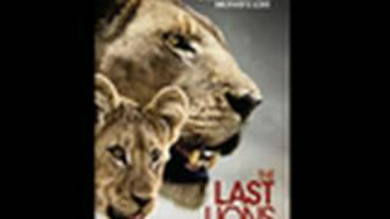 The Last Lions – National Geographic Wild The Last Lions – National Geographic Wild