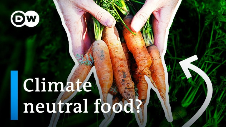Permaculture: Producing food without destroying the planet Permaculture: Producing food without destroying the planet