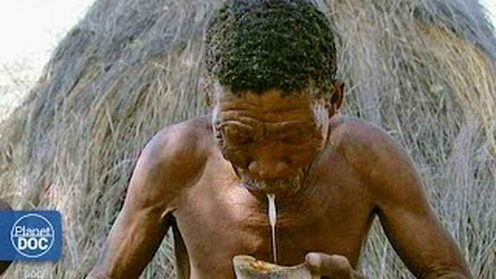 Desert of Skeletons – Planet Doc Documentary Desert of Skeletons – Planet Doc Documentary