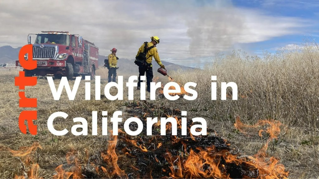 California: Fighting Fire with Fire California: Fighting Fire with Fire