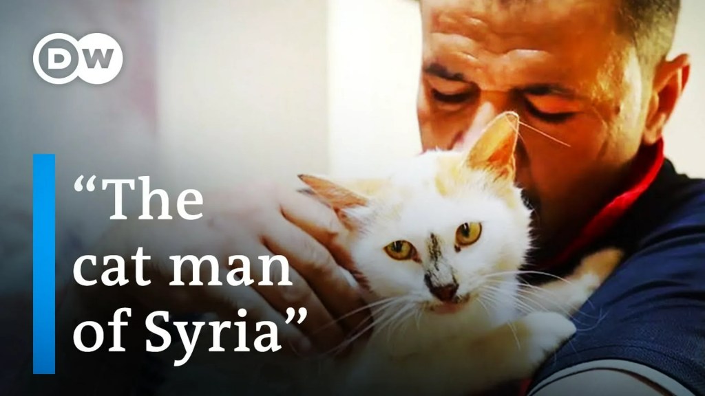Syria: Animal rescue in times of war Syria: Animal rescue in times of war